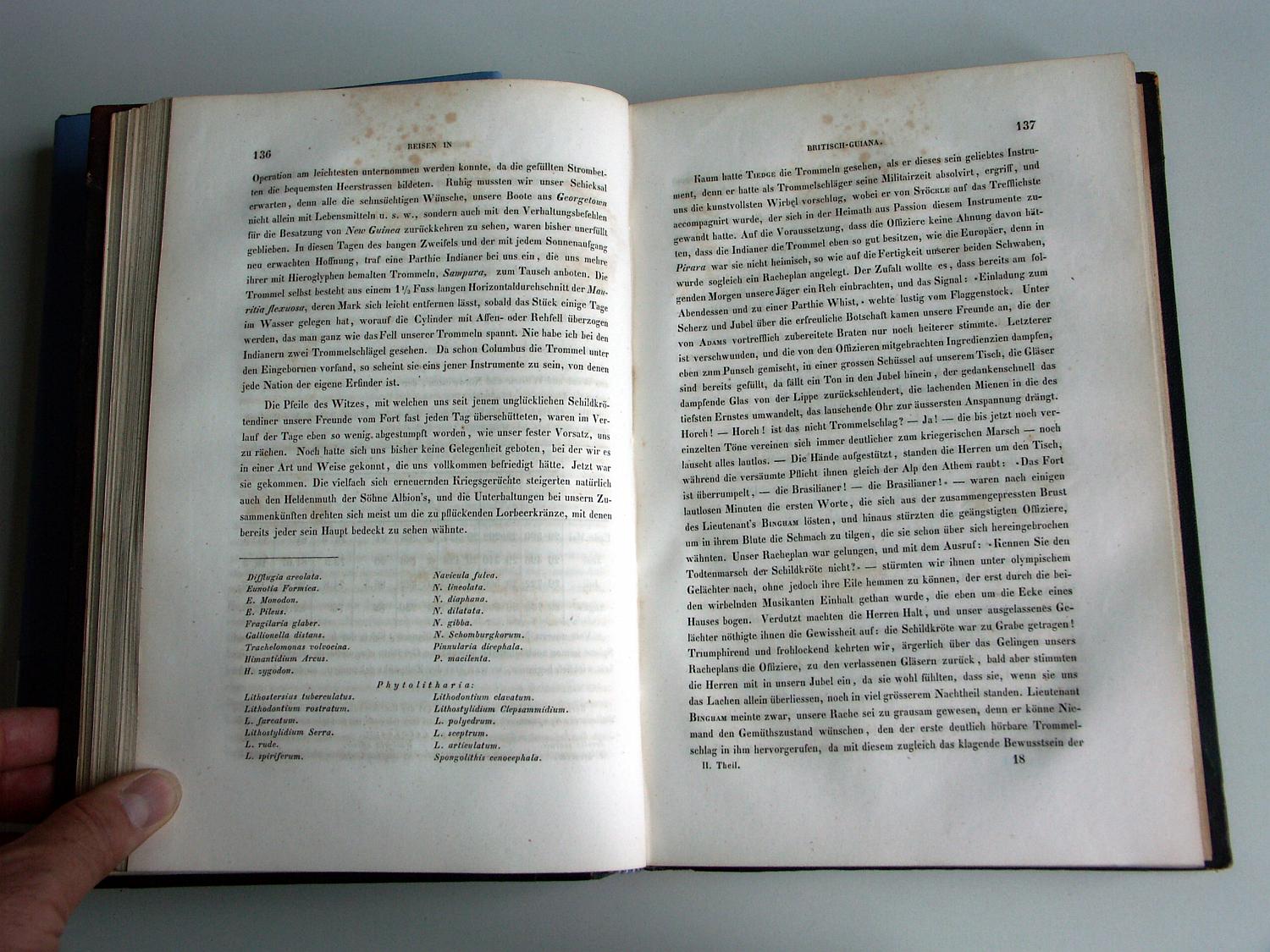 ZZ-RISC48,S.136 Trommel